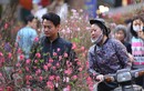 Dịp Tết Nguyên đán: Bắc Bộ phổ biến trời rét, Nam Bộ trời nắng
