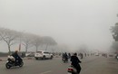 Ngày 15/2: Bắc Bộ sáng và đêm có mưa phùn, sương mù