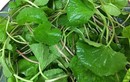 Loại rau cực rẻ giúp thải độc gan