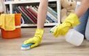 Mách chị em mẹo lau sàn nhà sạch bóng đơn giản