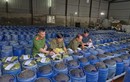 3.500 tấn giá đỗ ngâm hóa chất, kẻ chủ mưu xử lý sao?