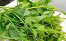 Loại rau quả nào tốt cho phụ nữ tuổi trung niên?