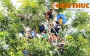 Người dân trèo cây, đội nắng xem xử thảm sát ở Bình Phước