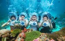 Việt Nam lọt top điểm lặn biển được du khách quốc tế yêu thích