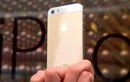 Điểm tin công nghệ: iPhone 5S vàng giá siêu đắt trên mạng