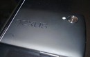 Nexus 5 có gì để mong đợi?