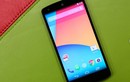 Chiêm ngưỡng Nexus 5 "hàng khủng", giá "bèo"