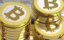 Sàn giao dịch Bitcoin hàng đầu thế giới bất ngờ biến mất