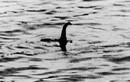 Google vào cuộc tìm quái vật hồ Loch Ness 