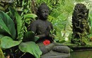  Phật dạy: Luật nhân quả đối với người ác khẩu