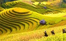 Việt Nam ngoạn mục giành giải “Oscar du lịch”