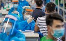Quy trình kiểm nghiệm vắc xin COVID-19 khi nhập về Việt Nam 