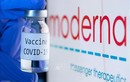Moderna nói gì về vắc xin nghi có chất lạ ở Nhật Bản?  