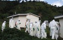 Ebola xuất hiện tại BV Bạch Mai?