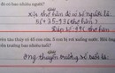 Bài toán để con vật đoán tuổi người, IQ vô cực cũng bó tay