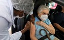 ''Hộ chiếu vaccine'' liệu có giúp mở lại các đường biên giới quốc tế?