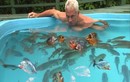 Người đàn ông liều lĩnh nhảy xuống bể nước đầy cá Piranha