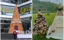 Những cây thông Giáng sinh độc lạ chỉ có ở Việt Nam