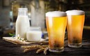Uống bia và uống sữa cùng lúc có nguy hiểm không? 