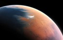 Sự sống trên Sao Hỏa có thể đã được tìm thấy nhưng vô tình bị "giết chết"