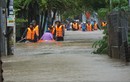 Đà Nẵng bàn giải pháp chống ngập lụt đô thị
