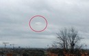 UFO rơi ở Brazil vào năm 1996: Người ta nhìn thấy sinh vật không xác định