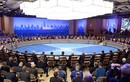 Nếu Crimea sáp nhập Nga, Gruzia sẽ gia nhập NATO?