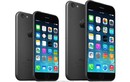 Lộ diện hàng nóng iPhone 6 giá 29 triệu đồng