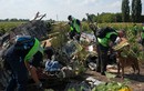 Ngừng tìm kiếm nạn nhân MH17 vì an ninh xấu đi