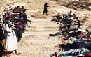 Osama bin Laden cảnh báo về sự tàn bạo của ISIL