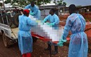 WHO: Dịch bệnh Ebola bị đánh giá thấp về quy mô