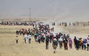 Số phận của 1 người Yazidi bị phiến quân ISIL bắt giữ