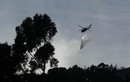 Máy bay rơi ở miền nam Colombia, 10 người thiệt mạng