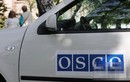 OSCE bác cáo buộc làm gián điệp cho Nga