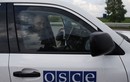 Lo chiến sự leo thang, OSCE dừng làm việc ở Ukraine?