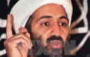 Tình báo Đức đã giúp Mỹ tiêu diệt Bin Laden