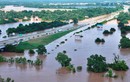 Hình ảnh lũ lụt kinh hoàng ở bang Louisiana