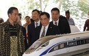 Dừng thi công dự án đường sắt cao tốc TQ ở Indonesia