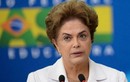 Thượng viện Brazil đình chỉ chức vụ của Tổng thống Rousseff