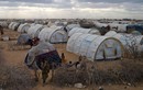 Toàn cảnh trại tị nạn lớn nhất thế giới ở Kenya