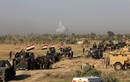 “Lực lượng Iraq sẽ giải phóng Fallujah trong 1 tuần”