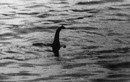 Quái vật hồ Loch Ness đã chết?