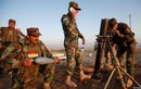 Iraq bác tin Thổ Nhĩ Kỳ tham gia chiến dịch giải phóng Mosul