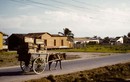 Đất nước Cuba những năm 1950 qua ảnh