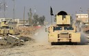 Chiến trường Mosul qua loạt ảnh mới của Reuters