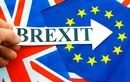 11 nhân vật quyết định các điều khoản Anh rời EU Brexit 