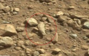 Phát hiện “hóa thạch ngón tay” và nhiều dấu hiệu sự sống trên Sao Hoả