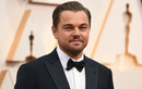 Bật mí thú vị loài cây mới phát hiện được đặt tên Leonardo DiCaprio  