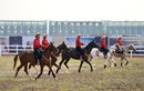 Ra mắt học viện cưỡi ngựa duy nhất tại Việt Nam theo phong cách hoàng gia