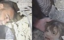 Syria: xúc động cảnh người cha tìm thấy con gái trong đống đổ nát